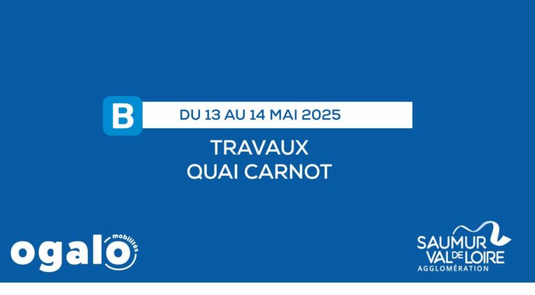 Ligne B : Travaux Quai Carnot