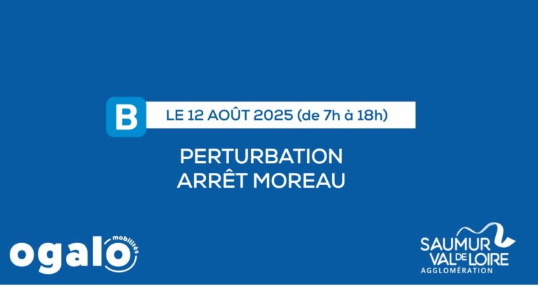 Ligne B : arrêt MOREAU reporté