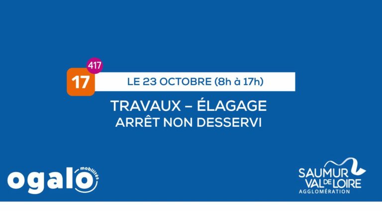 Ligne 17 : Travaux D751 (Gennes Val-de-Loire)