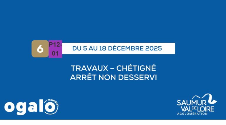 Lignes 06 et P12-01 : Travaux Distré (Chétigné)