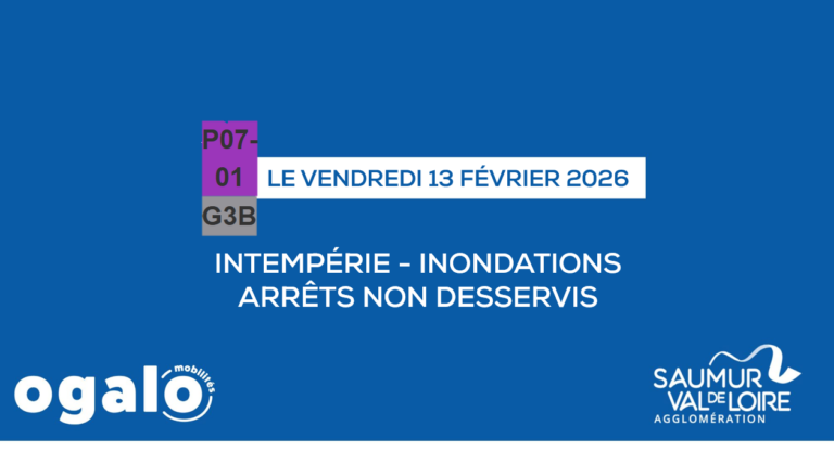 G3B et P07-01 : Intempérie (route du Thoureil)